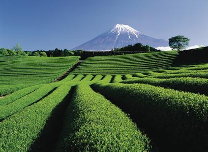 日本精致农业代表项目