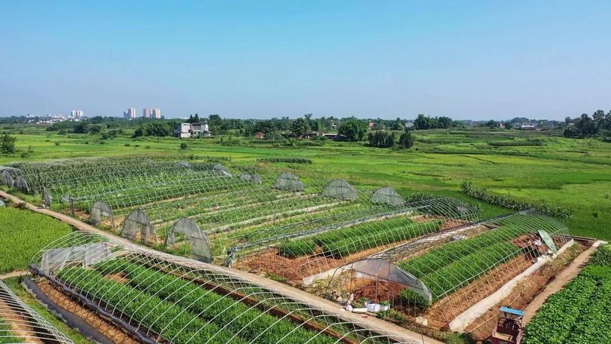 全国首批农业现代化示范区重庆这3地入围